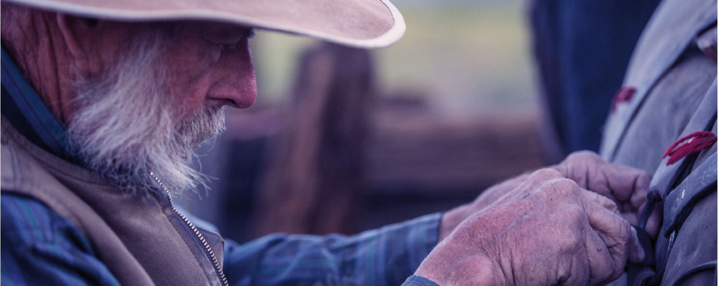 Beaux cuirs | Gowest.fr